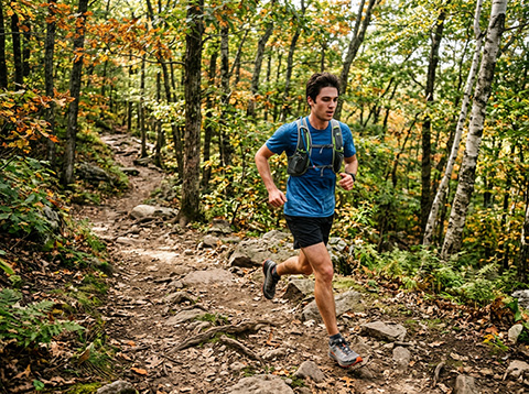  Mount Watatic trail